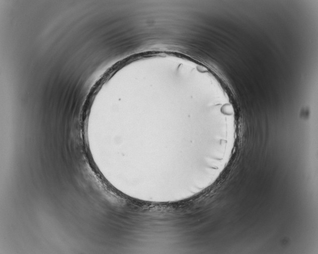 X0000114200972200911200956