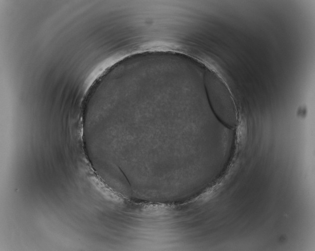 X0000114200973200911200956