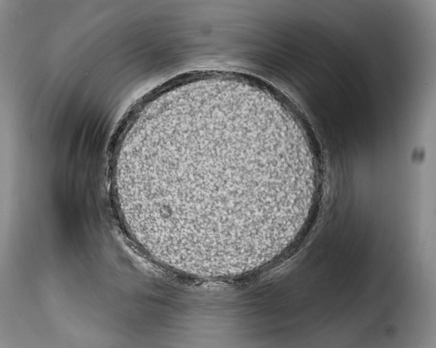 X0000114200974200911200956