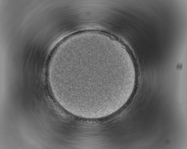 X0000114200975200911200956