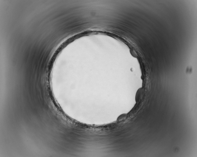 X0000114200976200911200956