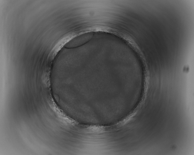 X0000114200977200911200956