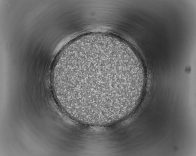 X0000114200978200911200956