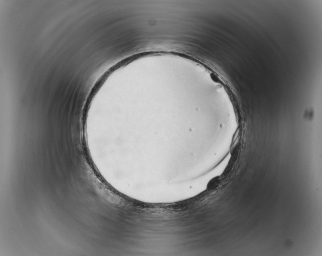 X0000114200980200911200956