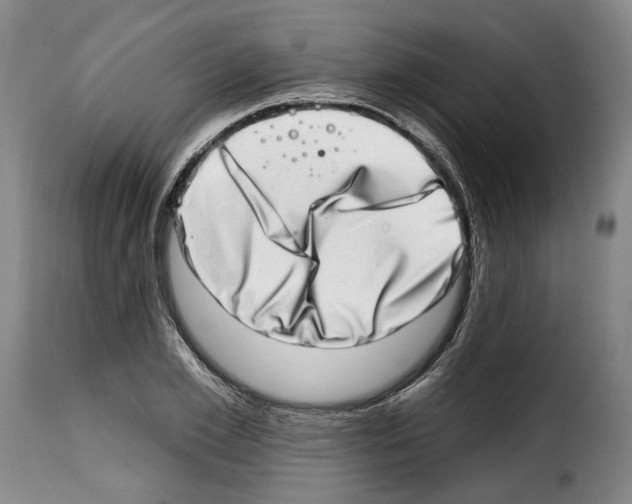 X0000114200981200911200956