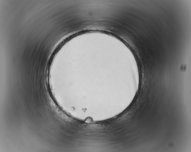 X0000114200984200911200956