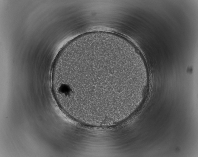 X0000114200987200911200956