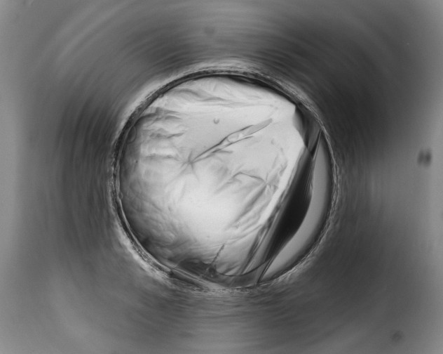 X0000114200989200911200956