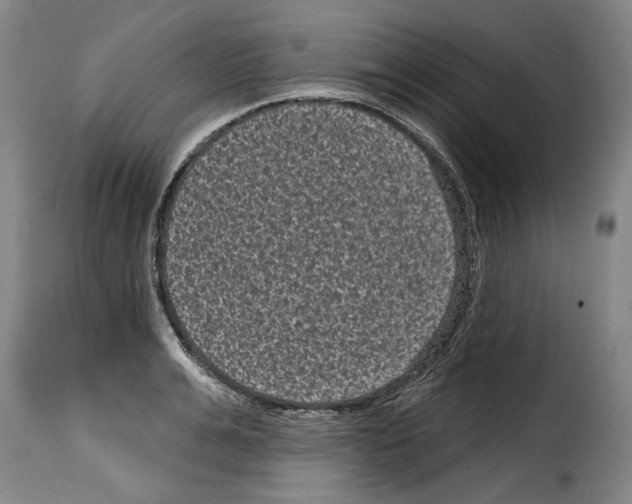 X0000114200991200911200955