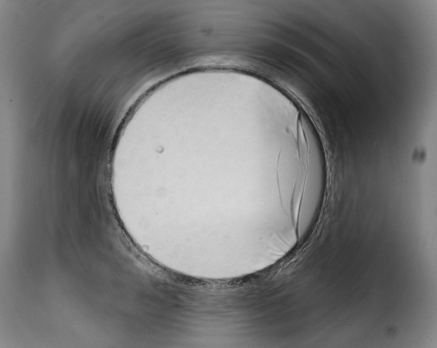 X0000114200992200911200955