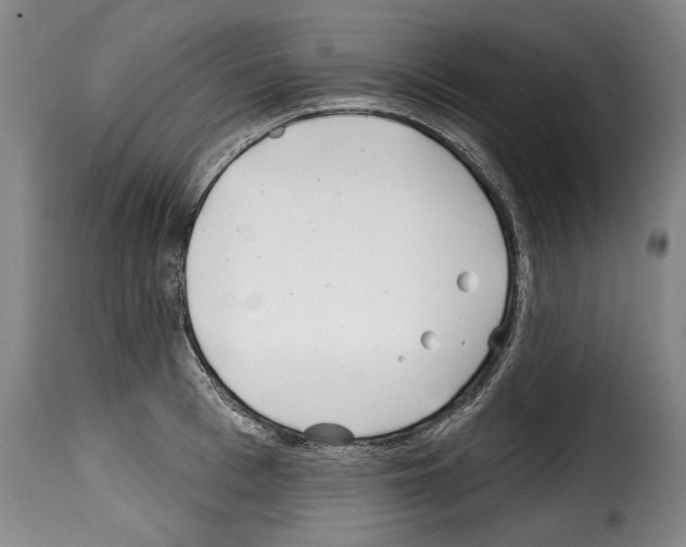 X0000114200993200911200955