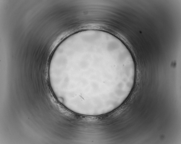 X0000114200994200911200955