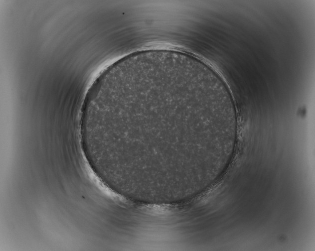 X0000114200995200911200955