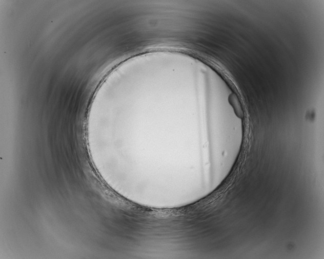 X0000114200996200911200955