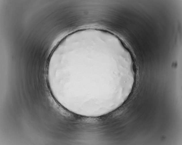 X0000114200998200911200955