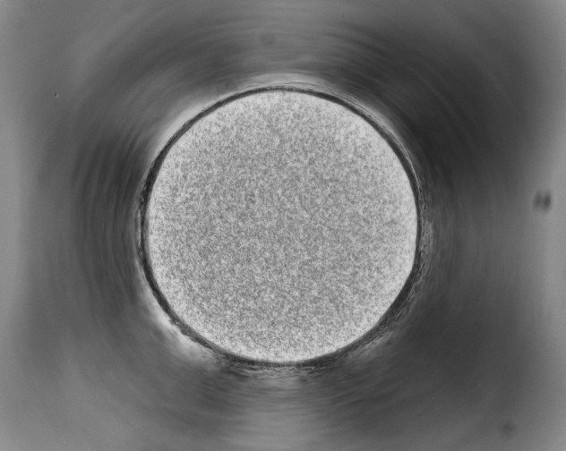 X0000114200999200911200955