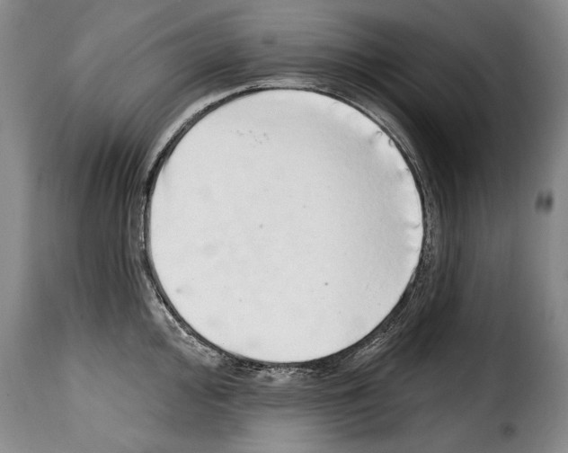 X0000114201000200911200955