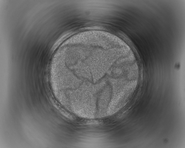 X0000114201002200911200955