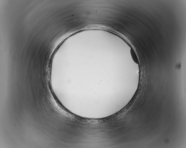 X0000114201003200911200955