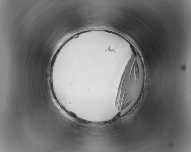 X0000114201005200911200955