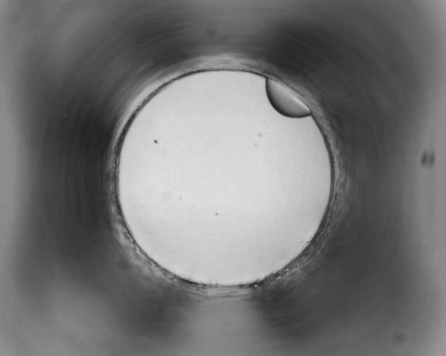 X0000114201008200911200955