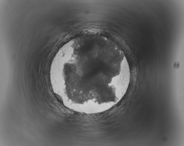 X0000114201009200911200954