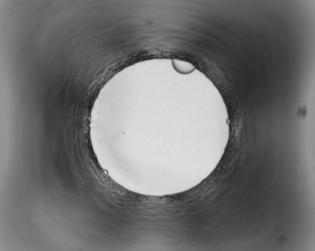 X0000114201012200911200954