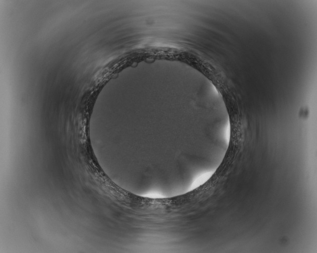 X0000114201013200911200954