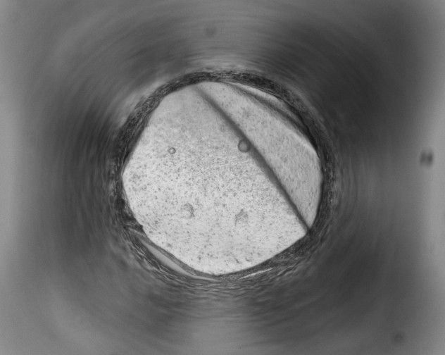 X0000114201016200911200955