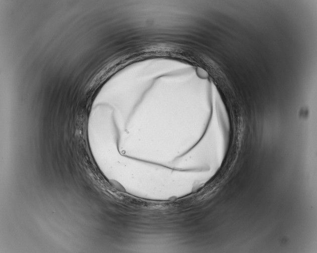 X0000114201017200911200955