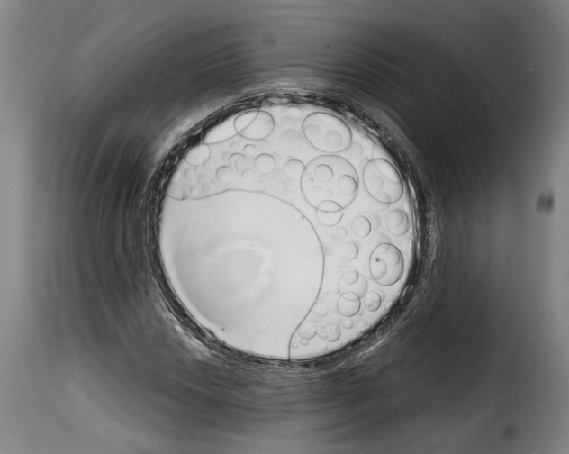 X0000114201018200911200955