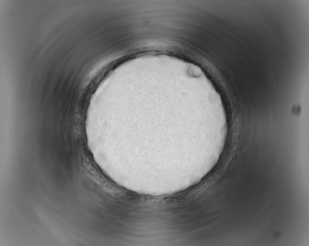 X0000114201019200911200955