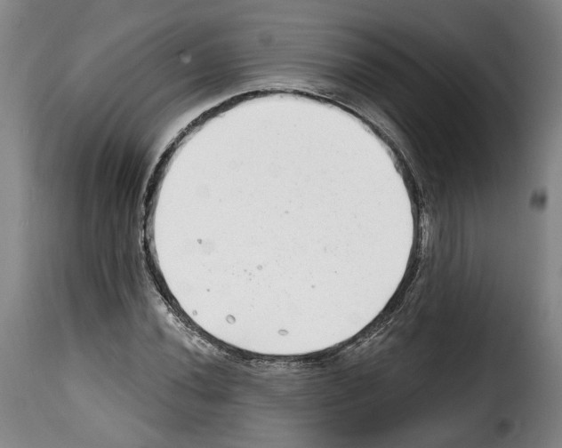 X0000114201020200911200955