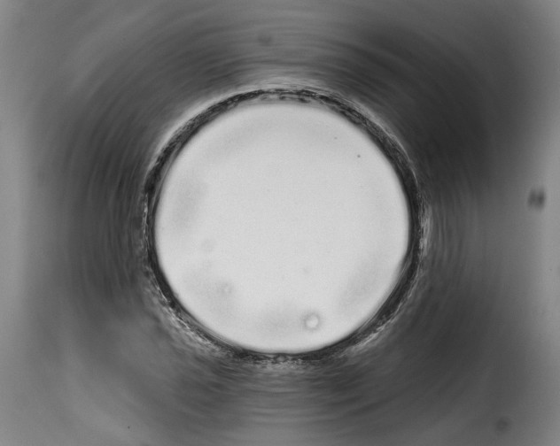 X0000114201021200911200955