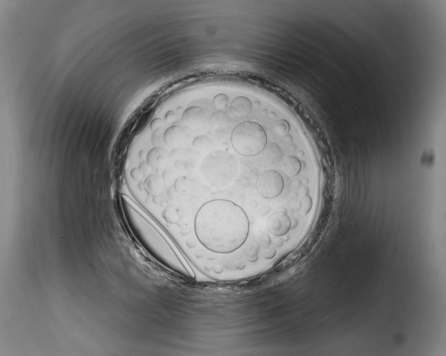 X0000114201022200911200955