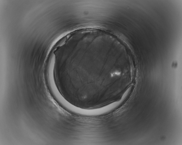 X0000114201024200911200955