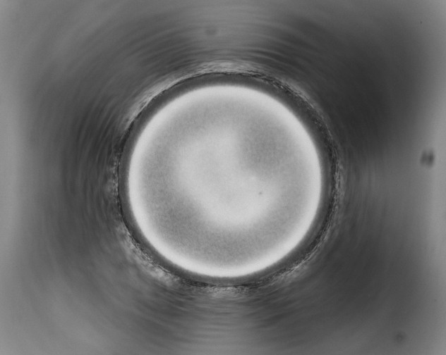 X0000114201025200911200955