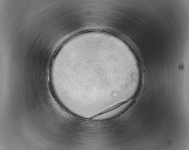 X0000114201028200911200955