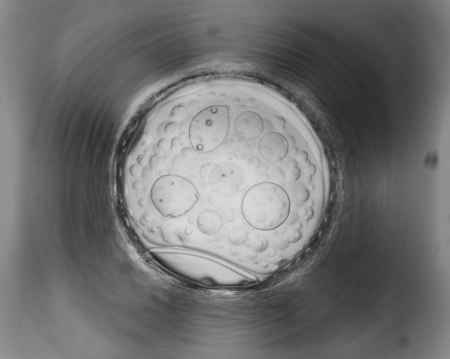 X0000114201030200911200955