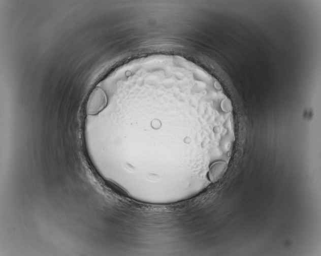 X0000114201031200911200955