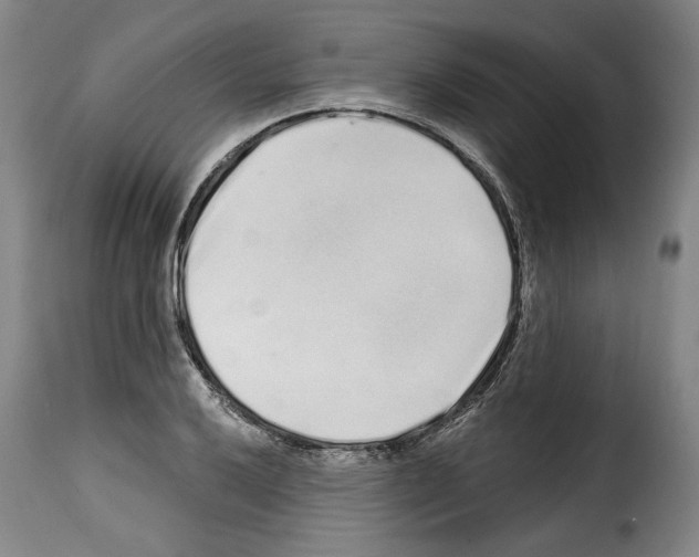 X0000114201032200911200955