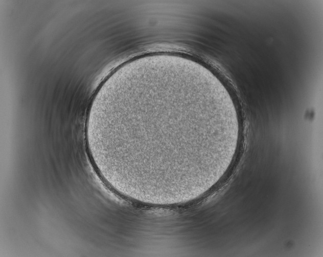 X0000114201033200911200955