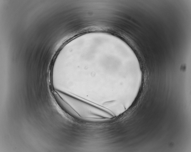 X0000114201034200911200955