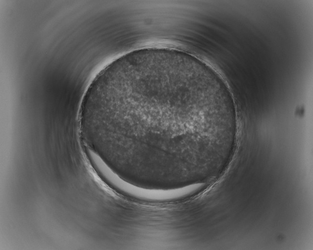 X0000114201037200911200955