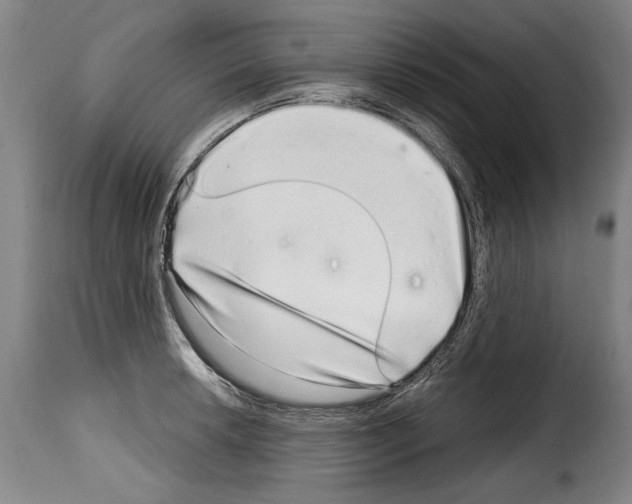 X0000114201042200911200955