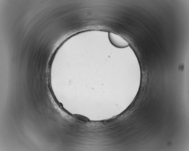 X0000114201046200911200955