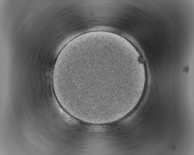 X0000114201049200911200955