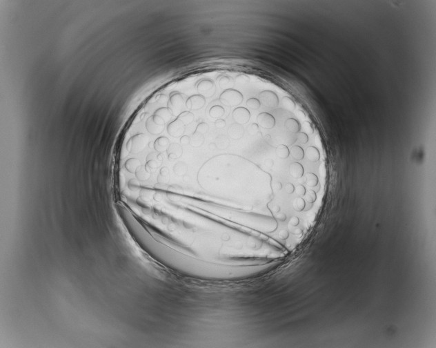 X0000114201050200911200955