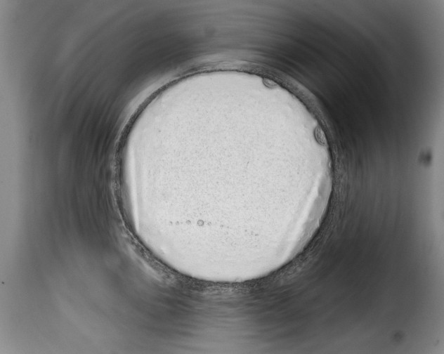 X0000114201051200911200955