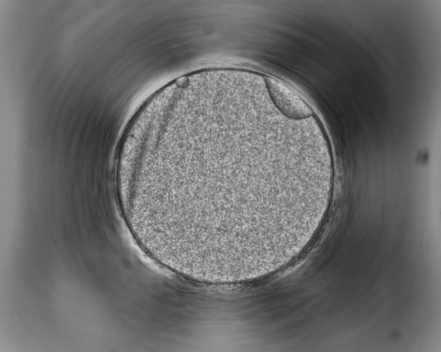 X0000114201053200911200955